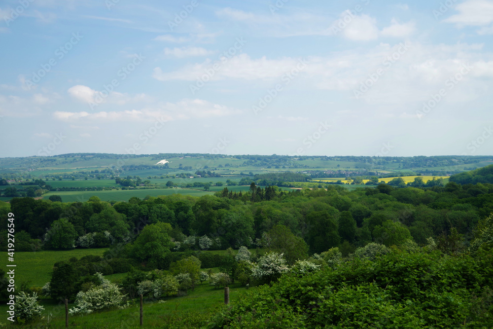 イギリスの田舎　丘陵地帯　屋外の自然風景