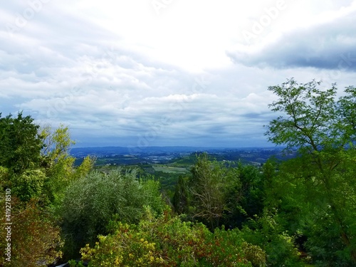 Olives in Italy