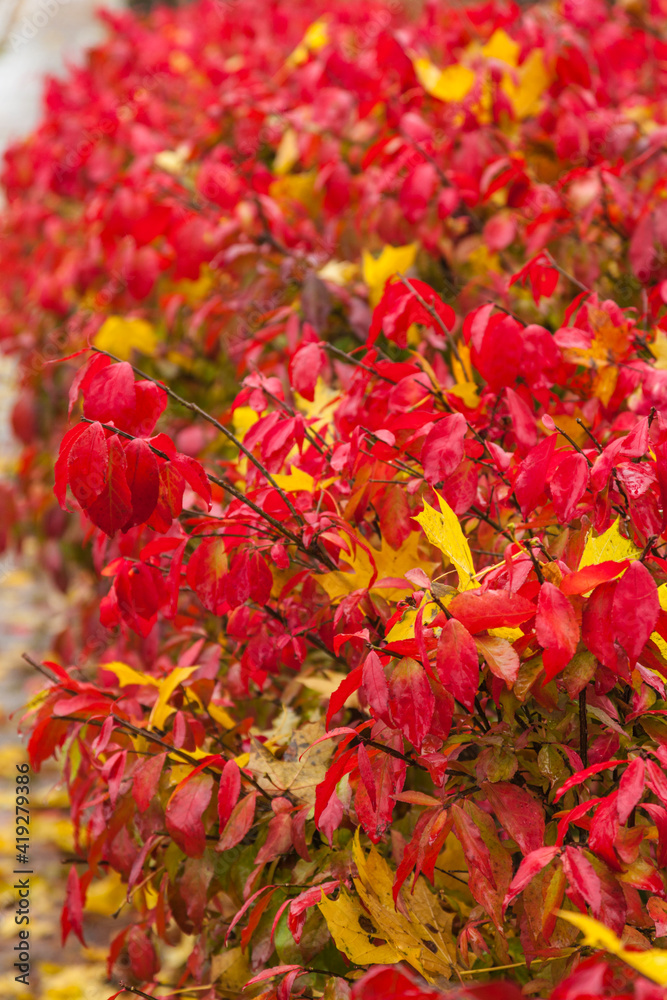 USA, Maine, Wiscasset with autumn foliage.