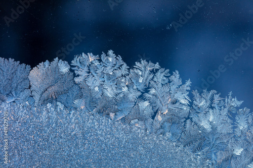 Iceflowers on the window