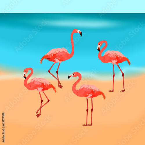 flamingos in the lake © molamola