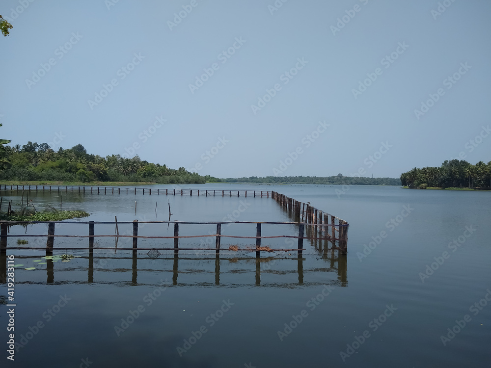 Vellayani fresh water lake, pearl spot fish rearing nest, Thiruvananthapuram Kerala