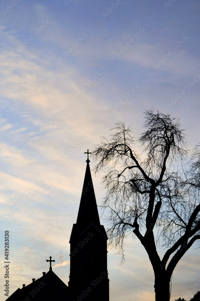 Fototapeta premium The Church and The Tree