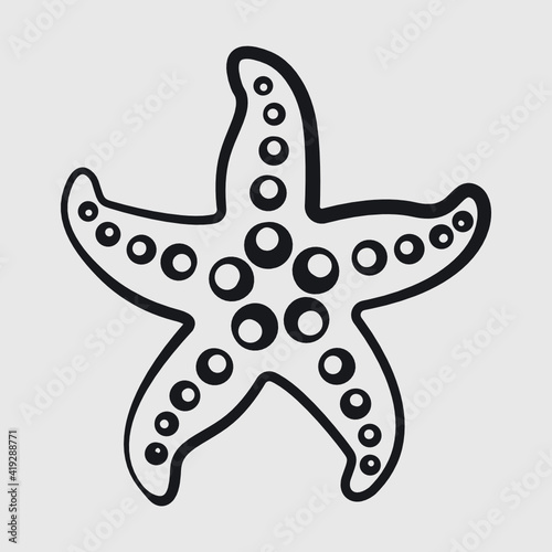 Star Fish | Sea Beach | Sea Animals | Fish | Ocean Starfish | Sea Fish