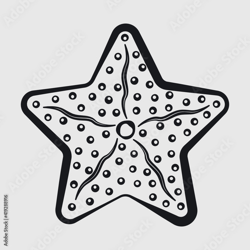 Star Fish | Sea Beach | Sea Animals | Fish | Ocean Starfish | Sea Fish