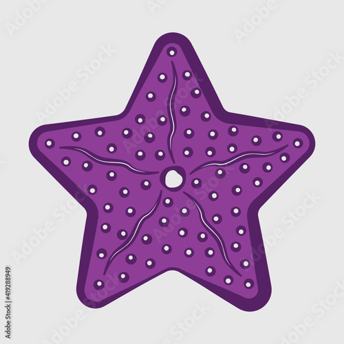 Star Fish | Sea Beach | Sea Animals | Fish | Ocean Starfish | Sea Fish