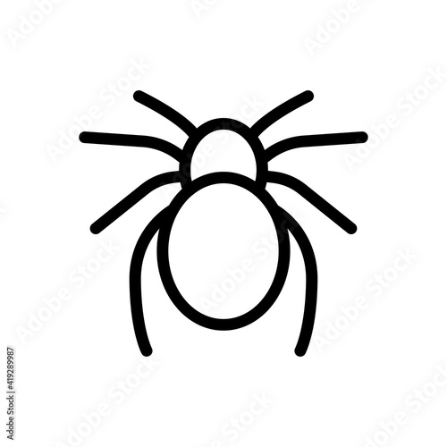 insect