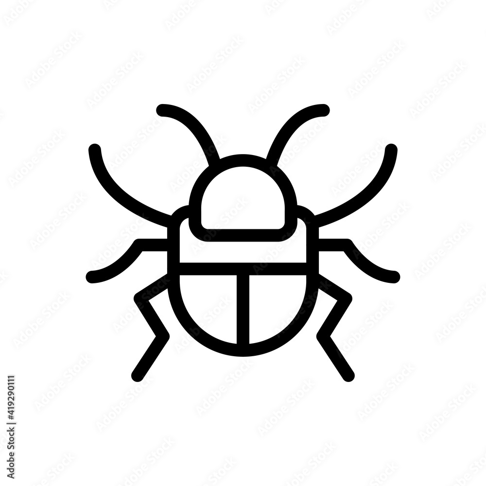 insect insect