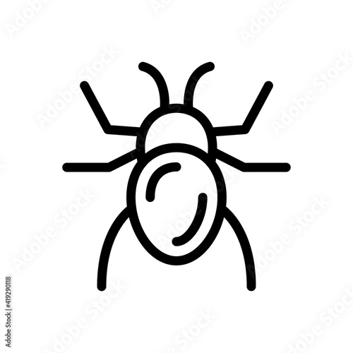 insect