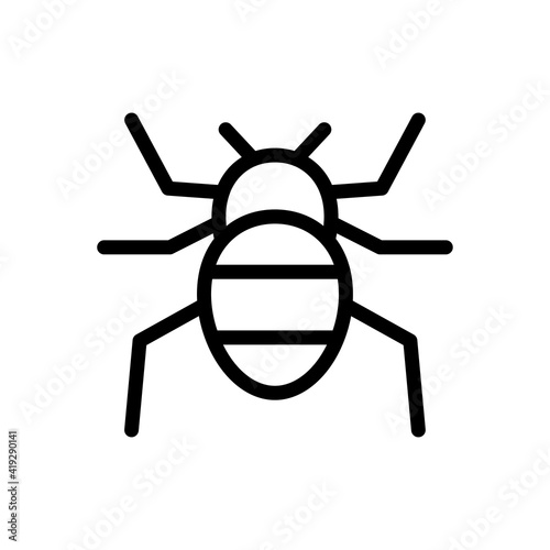 insect