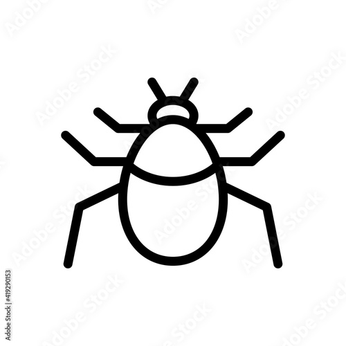 insect