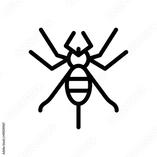 insect