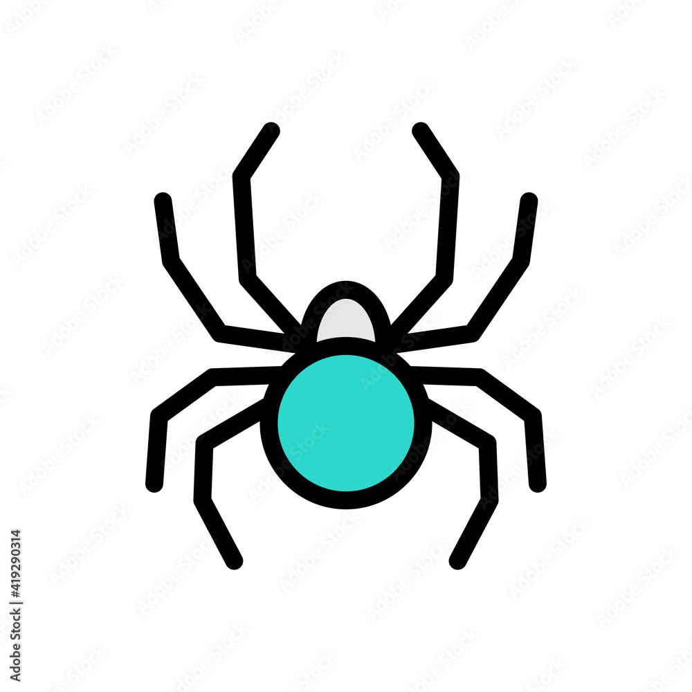 spider