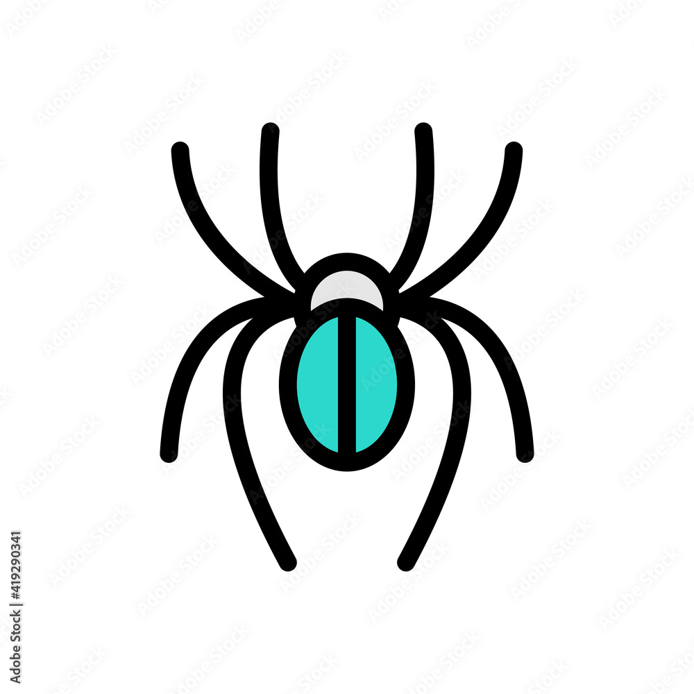 spider