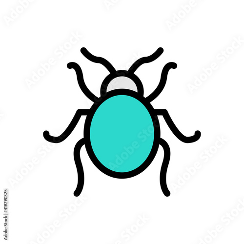 insect
