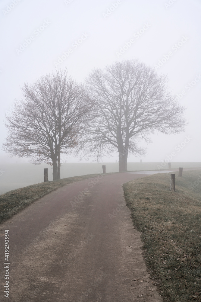 Nebellandschaft mit Bäumen am Straßenrand einer Dorfstraße in Deutschland im Winter Nebellandschaft mit Bäumen am Straßenrand einer Dorfstraße in Deutschland im Winter
