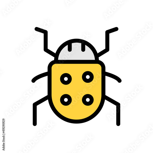 insect