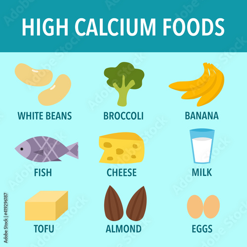 High calcium foods infographic vector illustration. Healthy food.