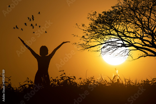 Silhouette happy woman open arm and bigtree with birds at sunset © ittipol