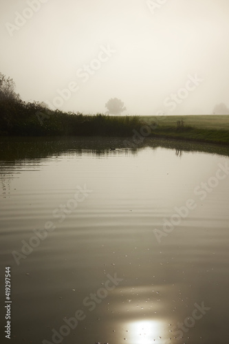 Foggy Morning at the pond