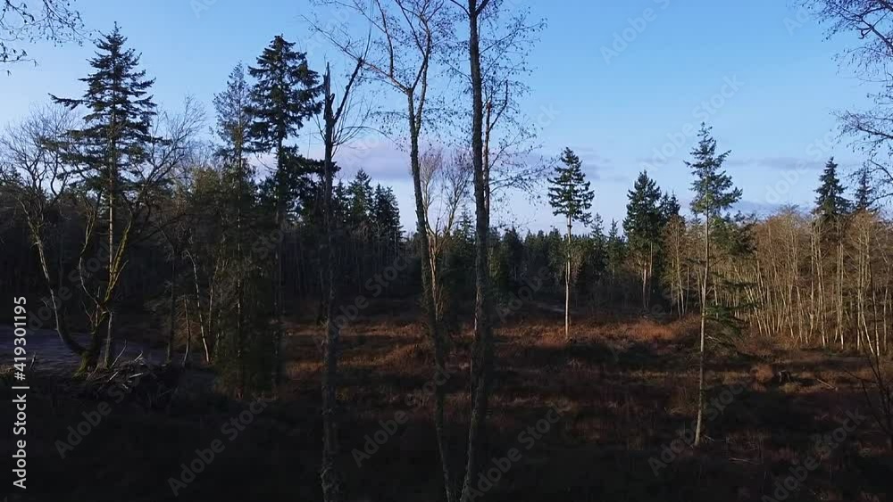 Flying Through Trees Rise to Water Flying Through Trees Rise to Water