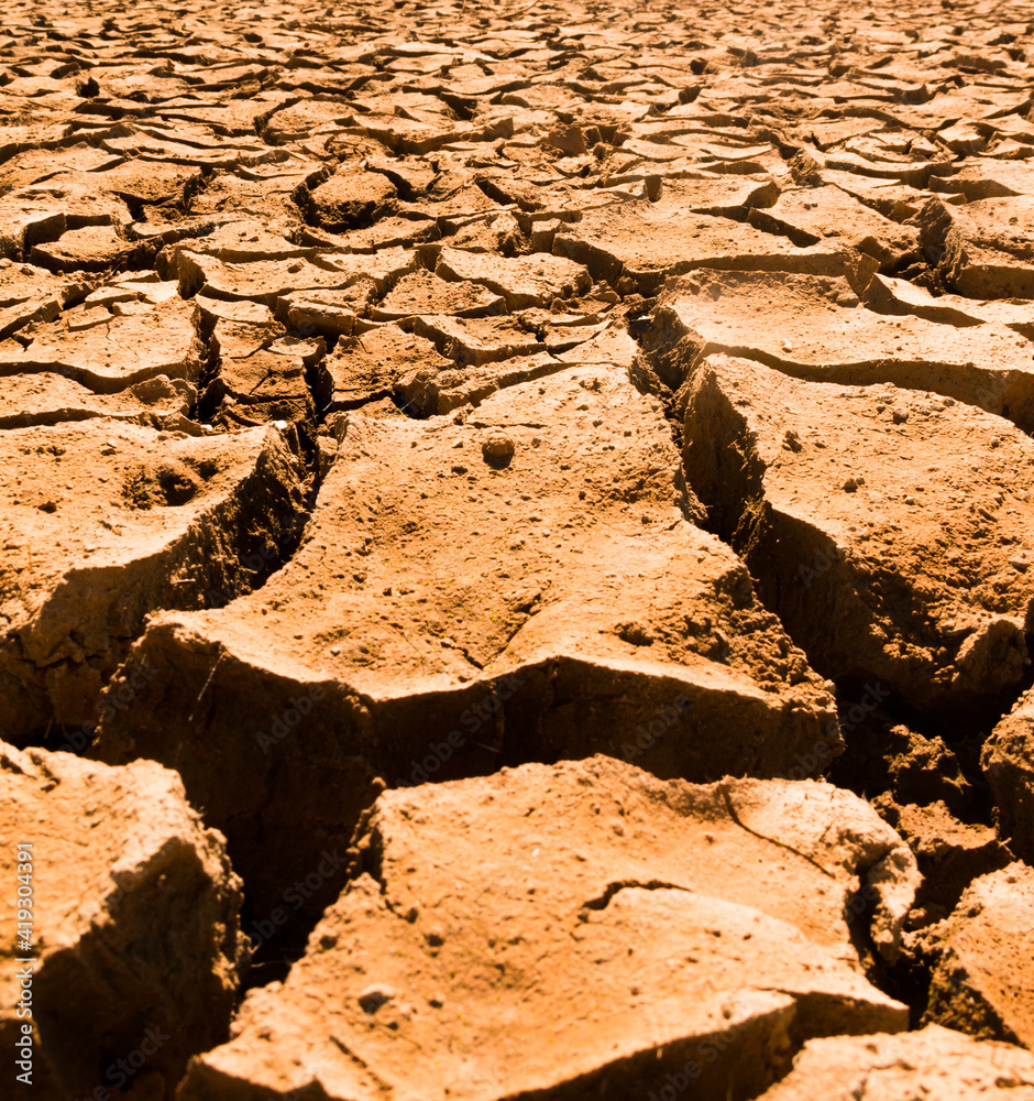 Detail of an arid soil in the bottom of a reservoir