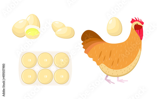 A set of raw eggs, whole and broken. Live chicken