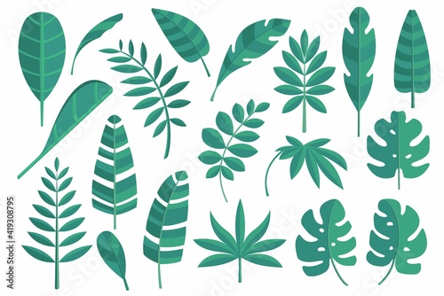 Fototapeta Naklejka Na Ścianę i Meble -  Vector set of isolated tropical leaves, leaf of palm tree on the white background. Flat design.