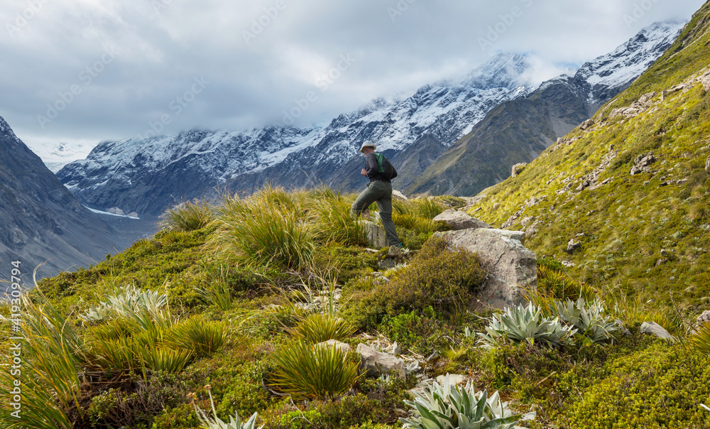 Fototapeta premium Hike in New Zealand