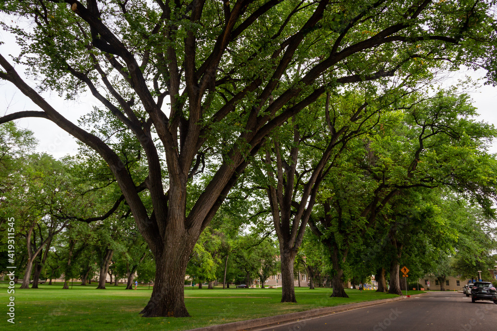 College Campus_Fort Collins Colorado