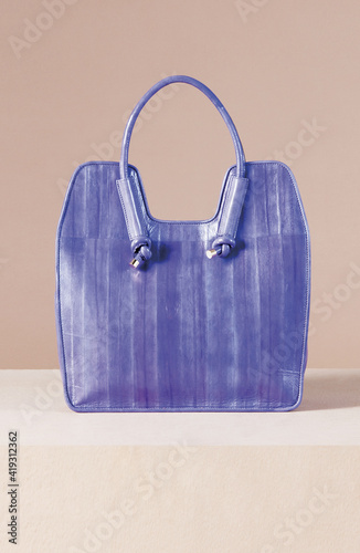 Fashionable hand bag for woman.