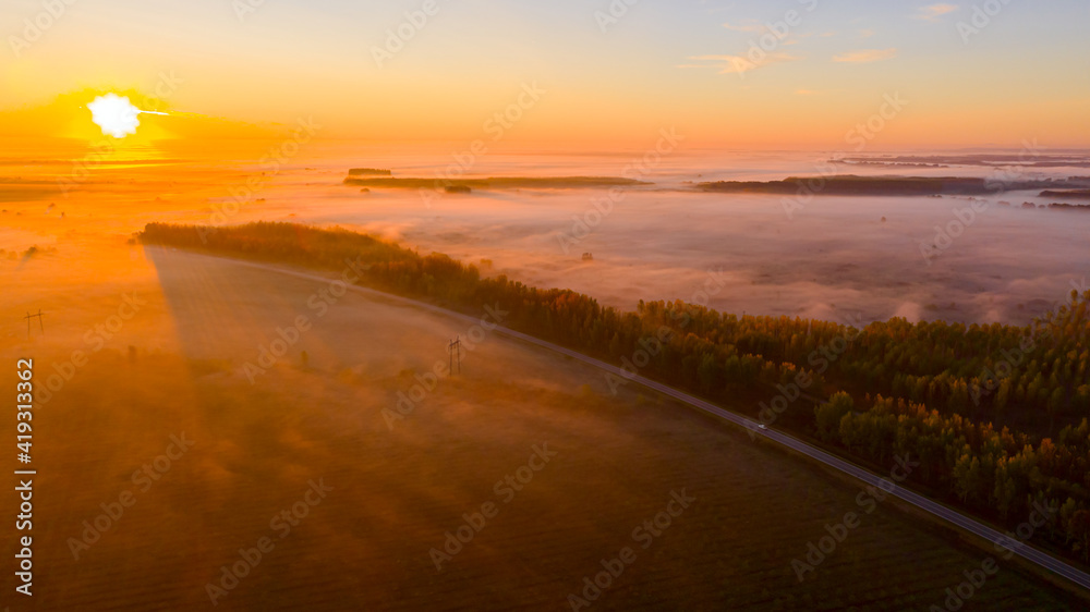 Aerial view early morning mist floating over ground vegetation and traffic among forest trees