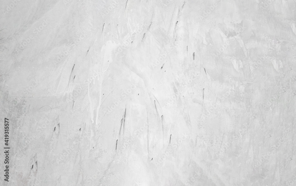 Obraz premium abstract white and silver are light pattern gray with the gradient is the with floor wall metal texture soft tech diagonal background black dark clean modern.