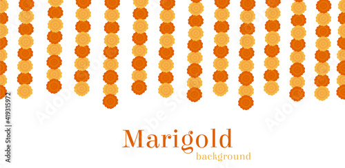 Elegant Yellow Indian Vector Marigold Flowers Garland Background. Gorgeous orange floral decoration with lush petals for hindu religious ceremony or wedding. Colorful flat isolated on white background