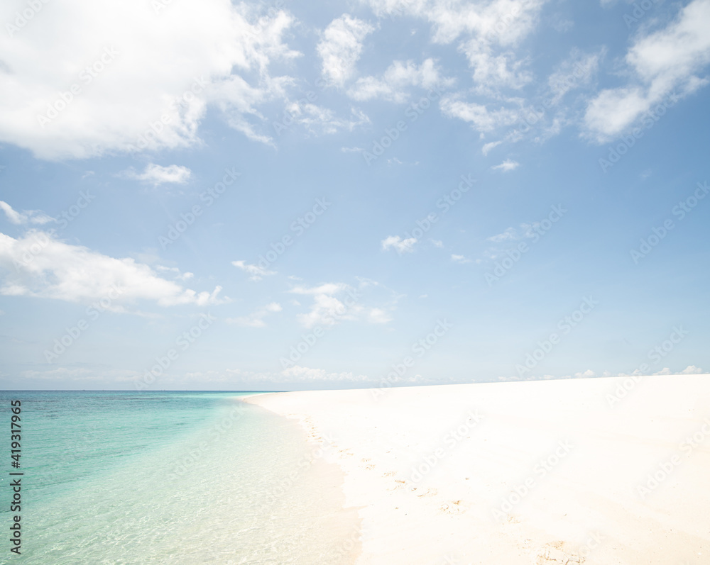 Beautiful tropical white sand beach and sea