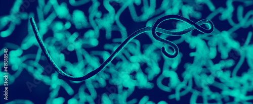 3D Visualisierung Ebola Virus oder Parasit unter dem Mikroskop