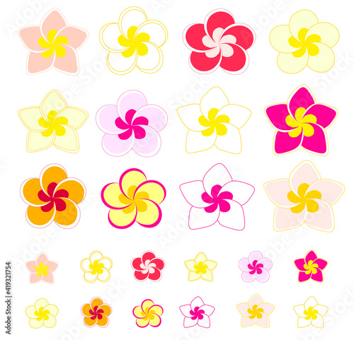 プルメリアの花　イラスト