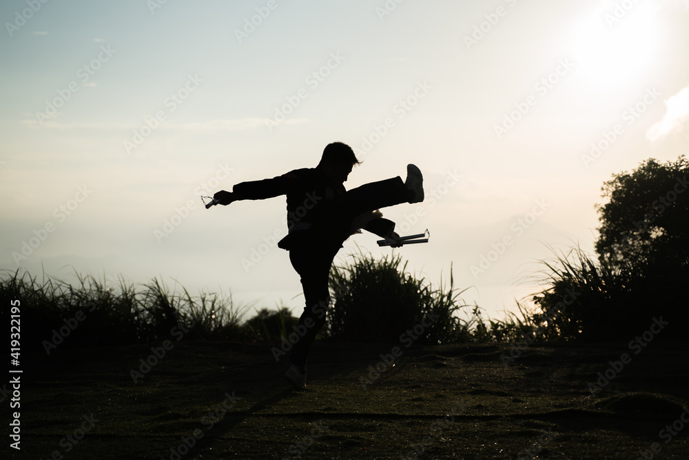 custom made wallpaper toronto digitalSilhouette of a samurai fighter