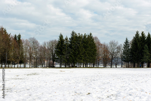 Melting white snow next to a forest on a winter day.Spring landscape.