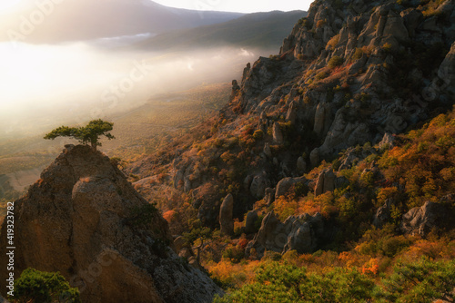 Beautiful autumn landscape in the mountains. © Vladimir Muravin