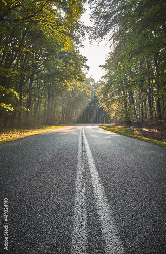 Empty asphalt road in a forest, selective focus.