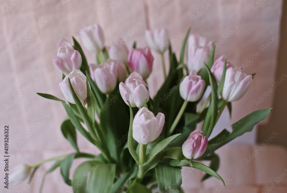 bouquet of pink tulips bouquet of pink tulips