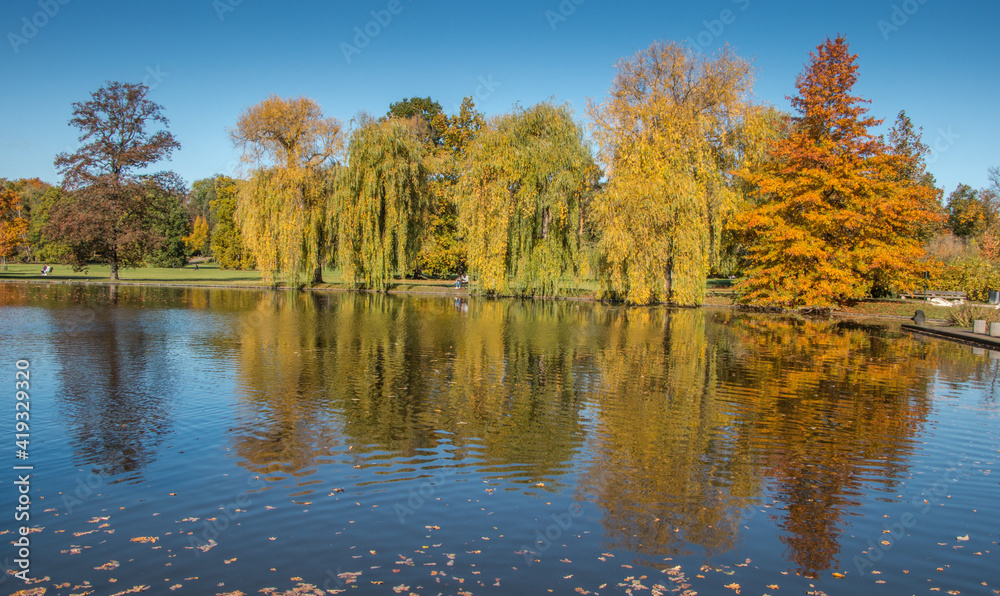 autumn trees reflected in water / Stromovka, Prague, Czech Republic
