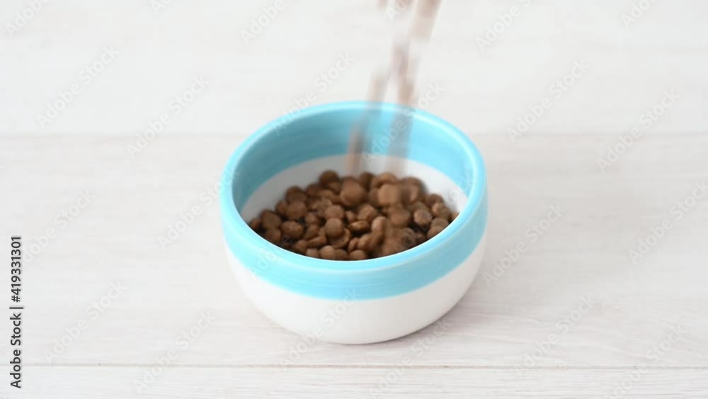 dry cat food is poured into a bowl on a white background at home dry cat food is poured into a bowl on a white background at home