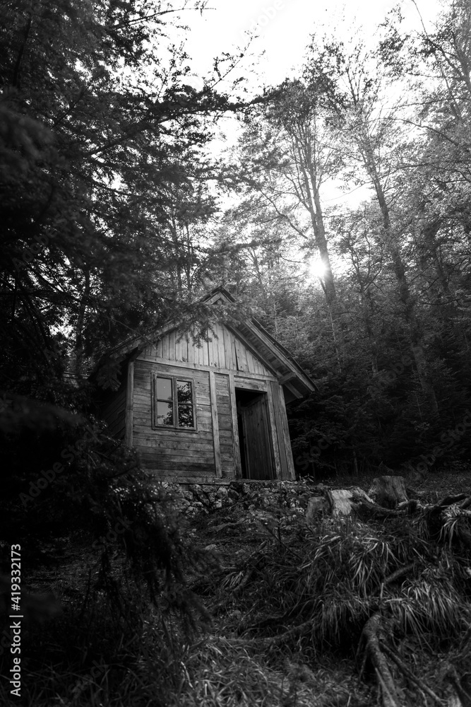 Wooden cabin in the woods at Tara mountain in Serbia Wooden cabin in the woods at Tara mountain in Serbia