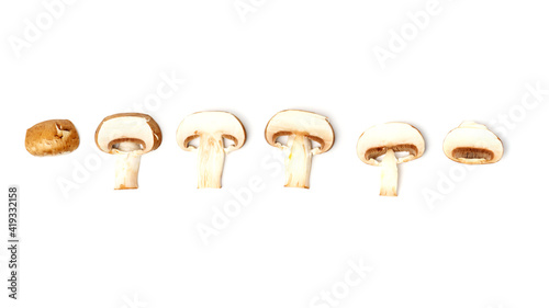Set of cut cross section of champignon mushrooms isolated on white