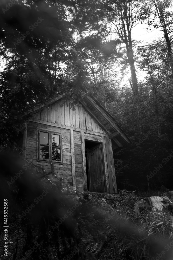 Wooden cabin in the woods at Tara mountain in Serbia Wooden cabin in the woods at Tara mountain in Serbia