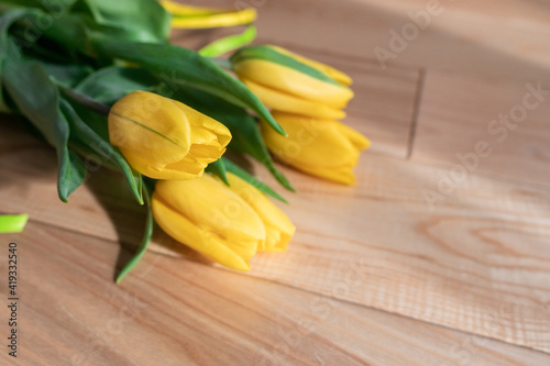 Beautiful yellow tulips on a wooden textured background  on a parquet. A bouquet of yellow flowers with green leaves on parquet boards. Spring yellow-green bouquet.