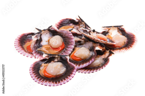 scallops in shells isolated © ksena32