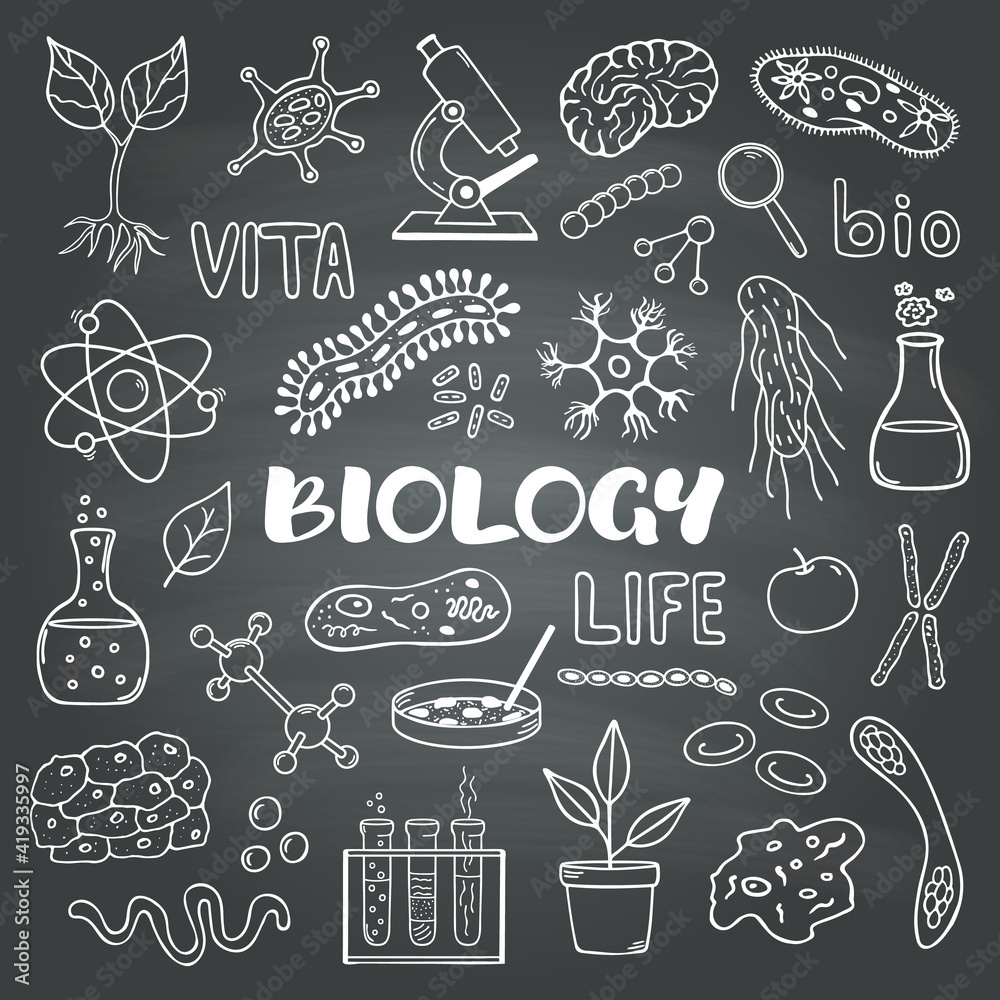 Biology.Set of vector hand drawn elements. Biology.Set of vector hand drawn elements.